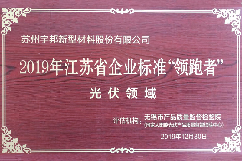 2019年江苏省企业标准领跑者（光伏领域）